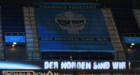 Hamburg Freezers vs. Straubing Tigers (13.12.2015)