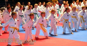 130914_taekwondo_fight_night_hamburg_001