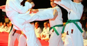 130914_taekwondo_fight_night_hamburg_003