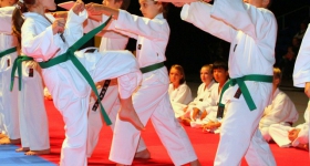 130914_taekwondo_fight_night_hamburg_004