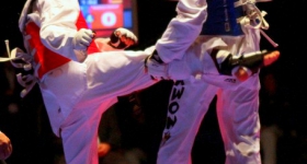 130914_taekwondo_fight_night_hamburg_005