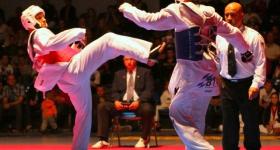 130914_taekwondo_fight_night_hamburg_007