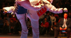130914_taekwondo_fight_night_hamburg_008