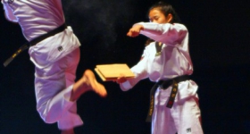 130914_taekwondo_fight_night_hamburg_013