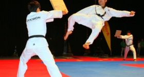 130914_taekwondo_fight_night_hamburg_014