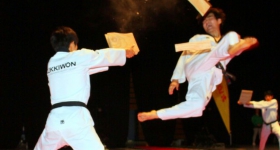130914_taekwondo_fight_night_hamburg_015