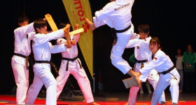 130914_taekwondo_fight_night_hamburg_016