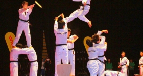 130914_taekwondo_fight_night_hamburg_017