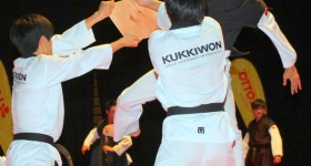 130914_taekwondo_fight_night_hamburg_019