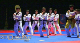 130914_taekwondo_fight_night_hamburg_020