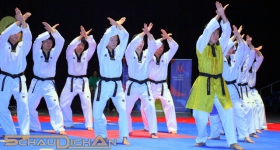 130914_taekwondo_fight_night_hamburg_021