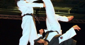 130914_taekwondo_fight_night_hamburg_022