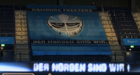 Hamburg Freezers vs. Straubing Tigers (11.10.2015)
