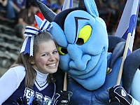 HSV Hamburg Blue Devils Düsseldorf Panther