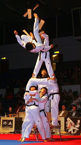 Taekwondo Fight Night in Hamburg
