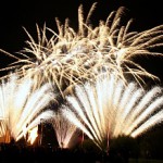 Pyro Games 2014 Stadtpark Norderstedt