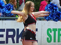 Starlets Cheerleader Norderstedt Mustangs Football 2016